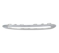 Moldura decorativa de la parrilla Delante, izquierda cromo 6502-07-3509924P BLIC