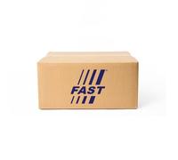 Moldura decorativa de la parrilla FT97302 FAST para MERCEDES-BENZ