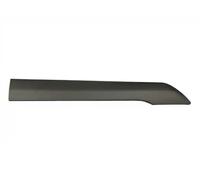 Moldura decorativa Delante, derecha FT90971 FAST para FORD