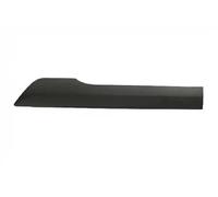 Moldura decorativa izquierda FT90969 FAST para FORD TRANSIT CONNECT Monospace