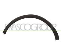 Moldura Decorativa/ Protectora, Guardabarros RN7001583 PRASCO Para RENAULT