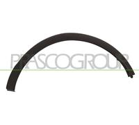 Moldura Decorativa/ Protectora, Guardabarros RN7001584 PRASCO Para RENAULT