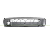 Moldura Decorativa/ Protectora, Parachoques CI2061246 PRASCO Para CITROËN