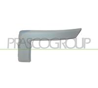 Moldura Decorativa/ Protectora, Parachoques FD3521234 PRASCO Para FORD
