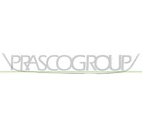 Moldura Decorativa/ Protectora, Parachoques RN4282305 PRASCO Para RENAULT