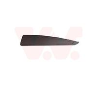 Moldura Decorativa/ Protectora, Puerta 4373425 VAN WEZEL Para RENAULT