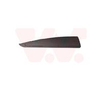 Moldura Decorativa/Protectora, Puerta 4373426 VAN WEZEL Para RENAULT