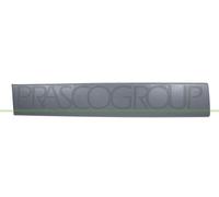 Moldura Decorativa/ Protectora, Puerta DS9521453 PRASCO Para RENAULT NISSAN