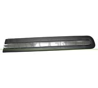 Moldura Decorativa/ Protectora, Puerta FT0401414 PRASCO Para FIAT
