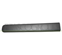 PRASCO FT1241404 Listón embellecedor/protector puerta Delante, izquierda negro Compatible con FIAT Panda Hatchback 312, 319 Panda Van 312, 519