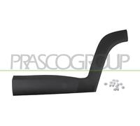 Moldura Decorativa/ Protectora, Puerta JE1001454 PRASCO Para JEEP