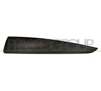 Moldura Decorativa/ Protectora, Puerta RN3291456 PRASCO Para RENAULT