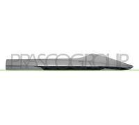 Moldura Decorativa/ Protectora, Puerta RN7501464 PRASCO Para RENAULT