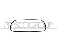 Moldura Decorativa / Protectora, Rejilla De Radiador CI2032206 PRASCO