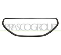 Moldura Decorativa / Protectora, Rejilla De Radiador PG3262216 PRASCO
