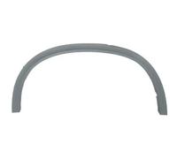 Moldura del guardabarros Atrás derecha 5703-04-0096598PP BLIC para BMW X5