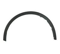 Moldura del guardabarros Atrás derecha 5703-08-8182376Q BLIC para TOYOTA C-HR