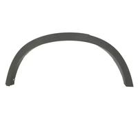 Moldura del guardabarros Atrás derecha negro 5703-04-0093592P BLIC para BMW X3