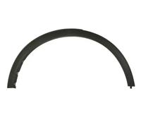 Moldura del guardabarros Atrás derecha negro 5703-08-2596374P BLIC para FORD