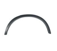 Moldura del guardabarros Atrás izquierda 5703-04-0093597P BLIC para BMW X3 X4