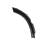 Moldura del guardabarros Atrás izquierda 6508-06-8179933P BLIC para TOYOTA
