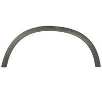Moldura del guardabarros Atrás izquierda negro 6601-02-3531423P BLIC