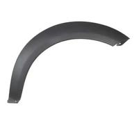 Moldura del guardabarros Delante, derecha gris oscuro 5703-08-6425378P BLIC