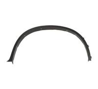 Moldura del guardabarros Delante, derecha negro 5703-04-0099422P BLIC para BMW