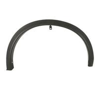 Moldura del guardabarros Delante, derecha negro 5703-04-1601422P BLIC