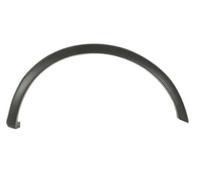 Moldura del guardabarros Delante, derecha negro 5703-08-2593376P BLIC