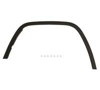 Moldura del guardabarros Delante, derecha negro 5703-08-3206372P BLIC para JEEP