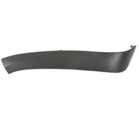 Listón embellecedor/protector, guardabarros BLIC 5703-08-3206372TP