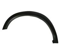 Moldura del guardabarros Delante, izquierda 5703-08-0935371P BLIC