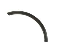 Moldura del guardabarros Delante, izquierda 6601-02-3536421P BLIC