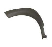 Moldura del guardabarros Delante, izquierda gris oscuro 5703-04-9080420Q BLIC