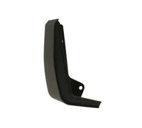 Moldura del guardabarros Delante, izquierda negro 5703-08-2598371P BLIC