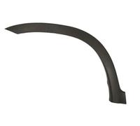 Moldura del guardabarros Delante, izquierda negro 5703-08-2956375P BLIC