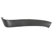 Listón embellecedor/protector, guardabarros BLIC 5703-08-3206371TP