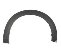 Moldura del guardabarros Delante, izquierda negro 5703-08-3493371P BLIC