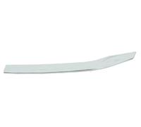 Moldura del guardabarros Frontal del vehículo 6502-07-2958997P BLIC