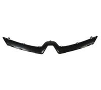 Listón embellecedor/protector, panal de radiador BLIC 6502-07-6034991P