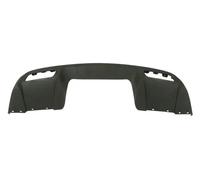Moldura del parachoques 5511-00-1171970P BLIC
