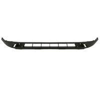 Moldura del parachoques 5511-00-6630220Q BLIC