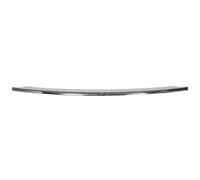 Moldura del parachoques 5513-00-3207925DP BLIC