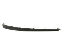 Moldura del parachoques 6502-07-5054921P BLIC