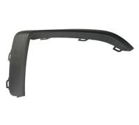 Moldura del parachoques Delante, derecha negro 6502-07-0073924P BLIC para BMW 1