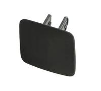 Moldura del parachoques Delante, izquierda 5513-00-3207922SP BLIC