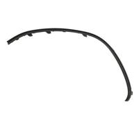 Moldura del parachoques Delante, izquierda 6502-07-3556921P BLIC