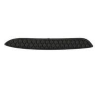 Moldura del parachoques Delante, izquierda negro 5703-05-3556971P BLIC