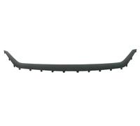 Parachoques - moldura decorativa/protectora BLIC 6502-07-8102920P
